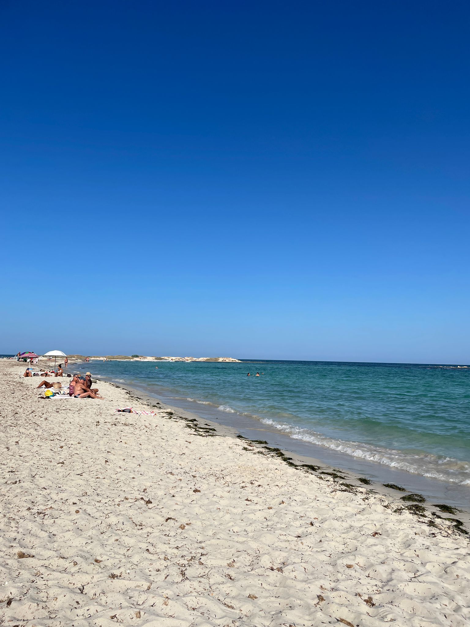 La Lagune — photo 5