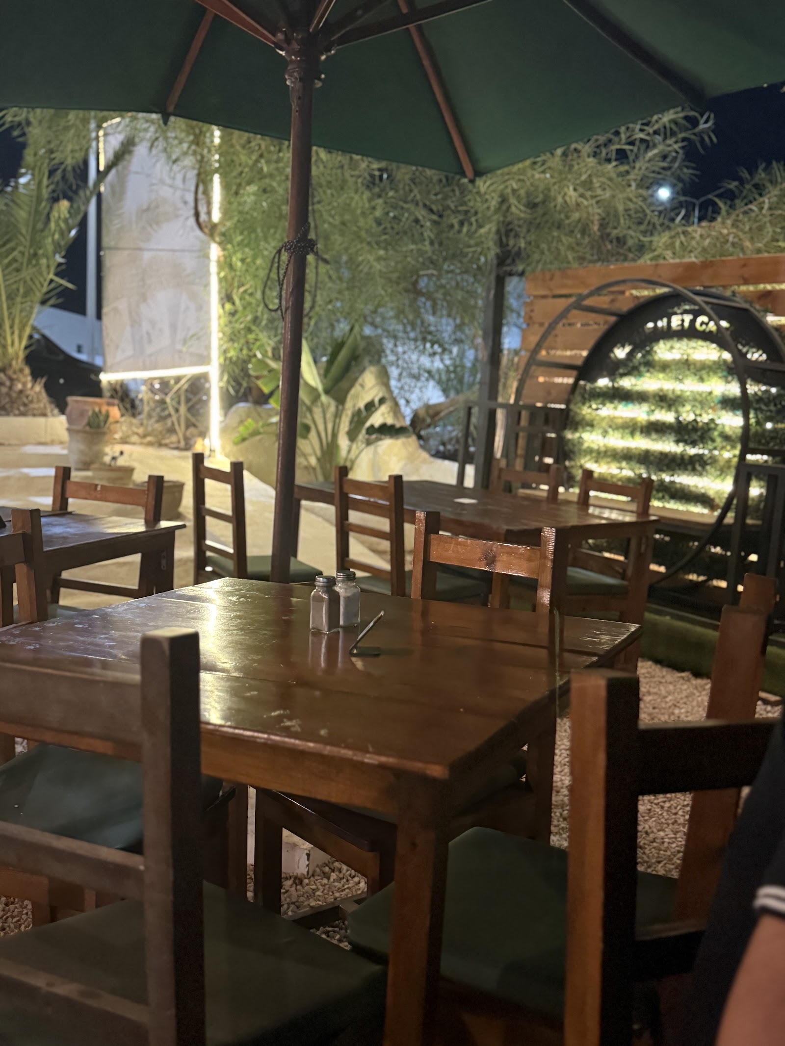 Les Palmiers — photo 5